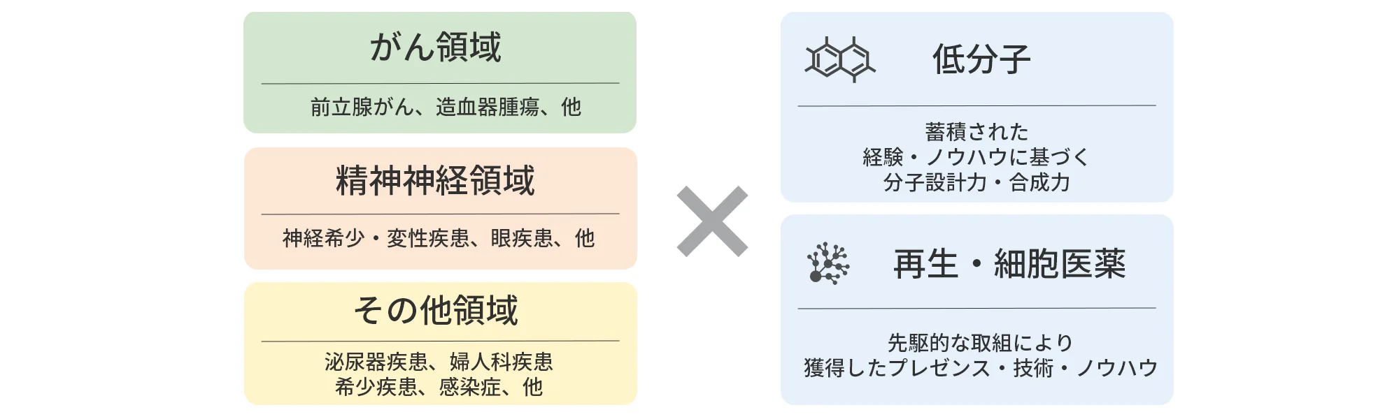 低分子 蓄積された
                    経験ノウハウに基づく分子設計力・合成力 再生・細胞医薬 先駆的な取組により獲得したノウハウ  その他モダリティ 最適なモダリティを追求 ☓ 精神神経領域 がん領域 その他領域※ *婦人科疾患、泌尿器疾患、糖尿病、希少疾患、感染症