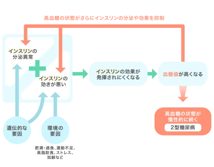 高血糖の状態がさらにインスリンの分泌や効果を抑制