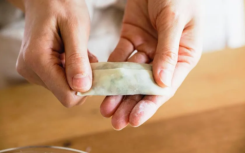 ワンタンの皮で包んだ餃子