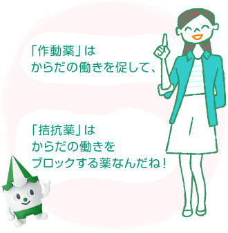 「作動薬」はからだの働きを促して、「拮抗薬」はからだの働きをブロックする薬なんだね!