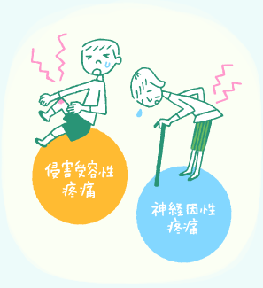 侵害受容性疼痛 神経因性疼痛