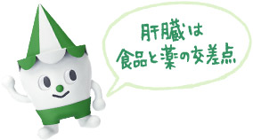 スコッピィ君:肝臓は食品と薬の交差点