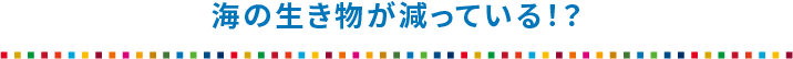 海の生き物が減っている!?