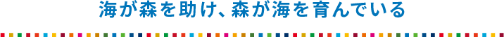 海が森を助け、森が海を育んでいる