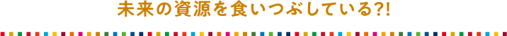 未来の資源を食いつぶしている?!?
