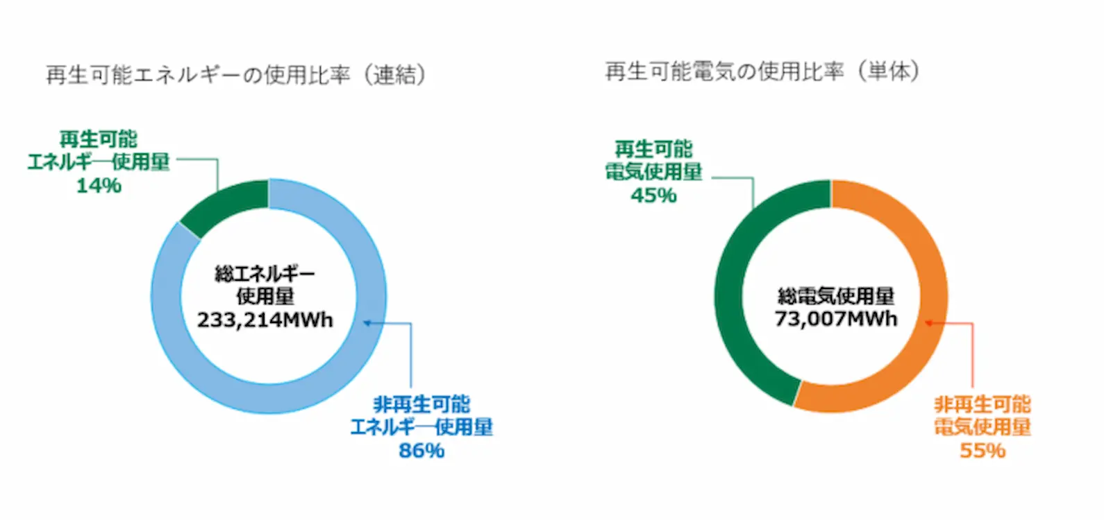 再生可能エネルギーの使用比率