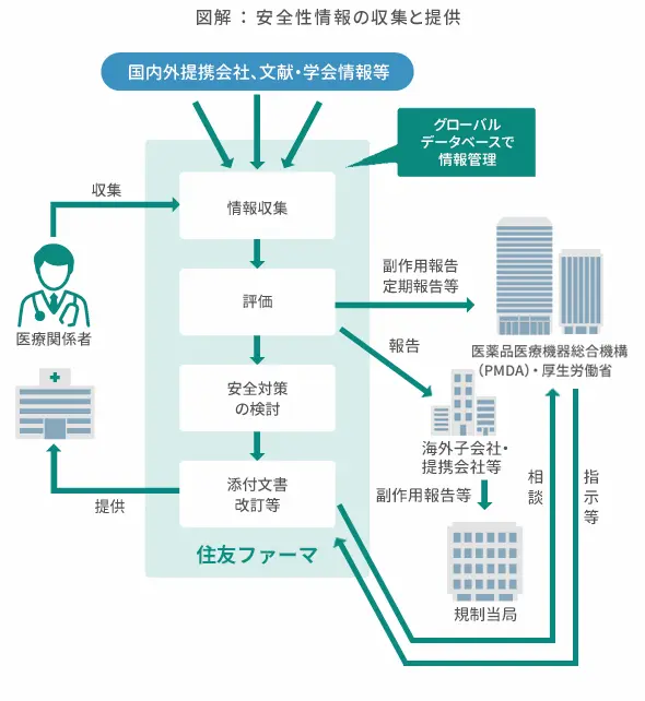 図解:安全性情報の収集と提供