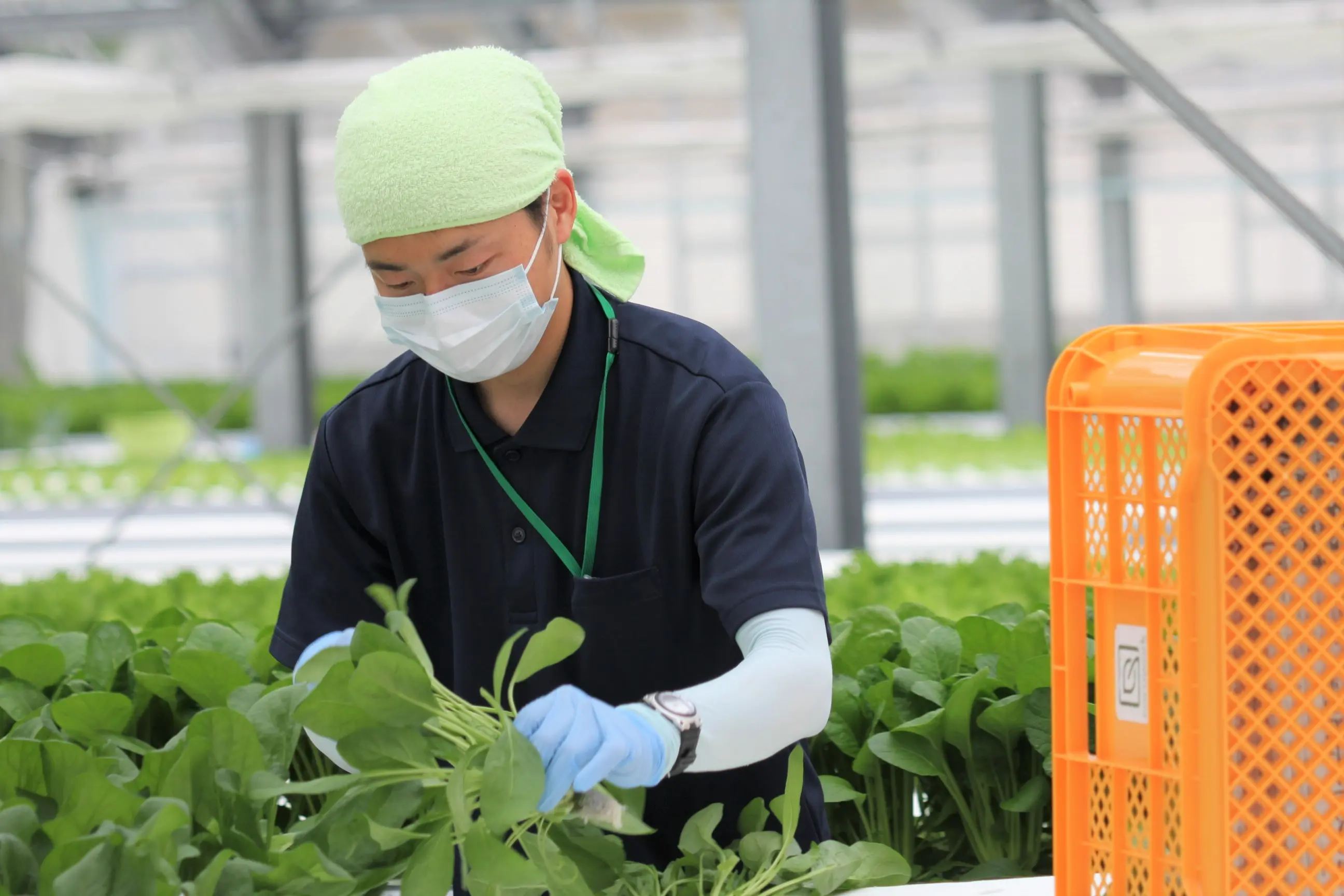 ココワーク従業員1