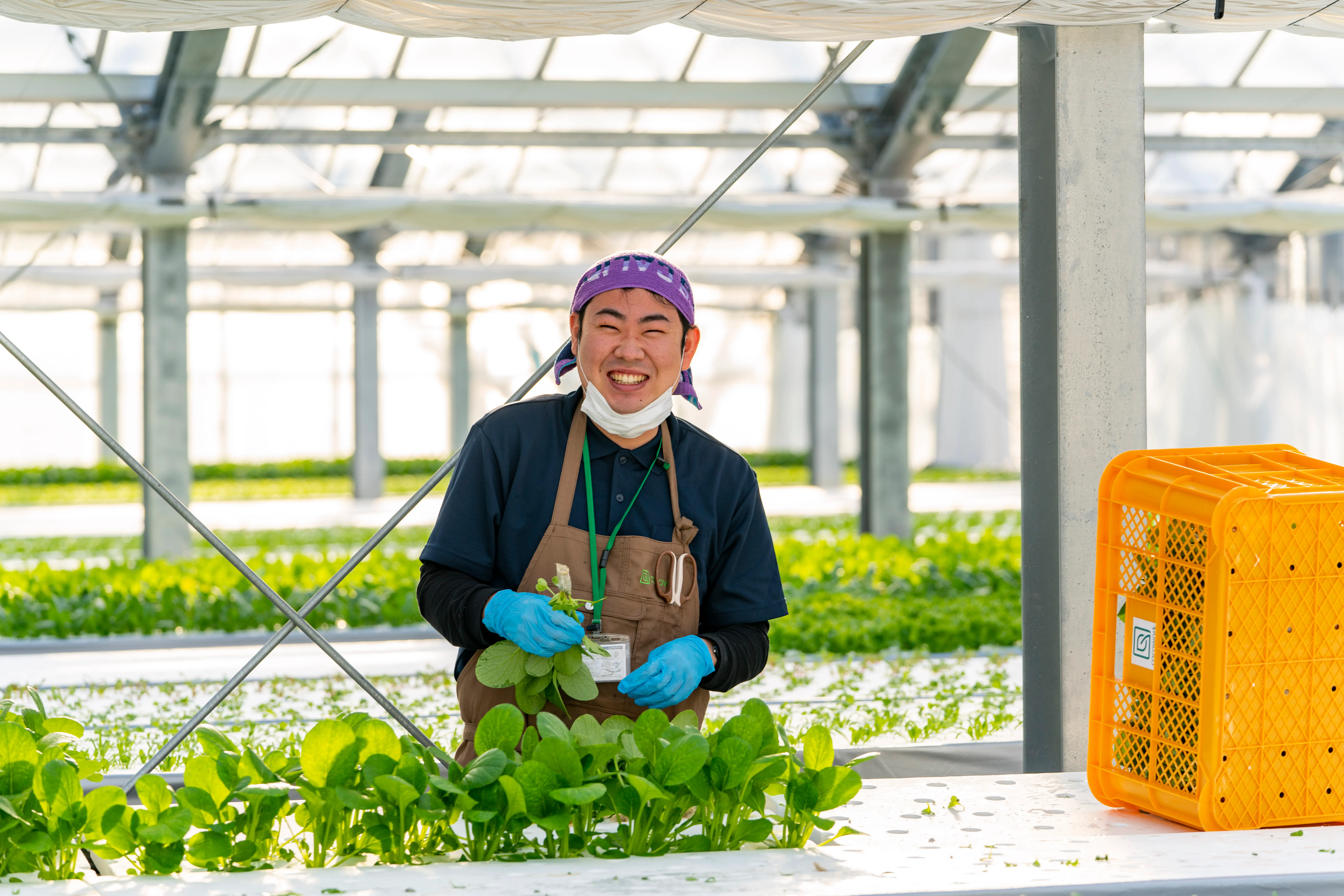 ココワーク従業員2