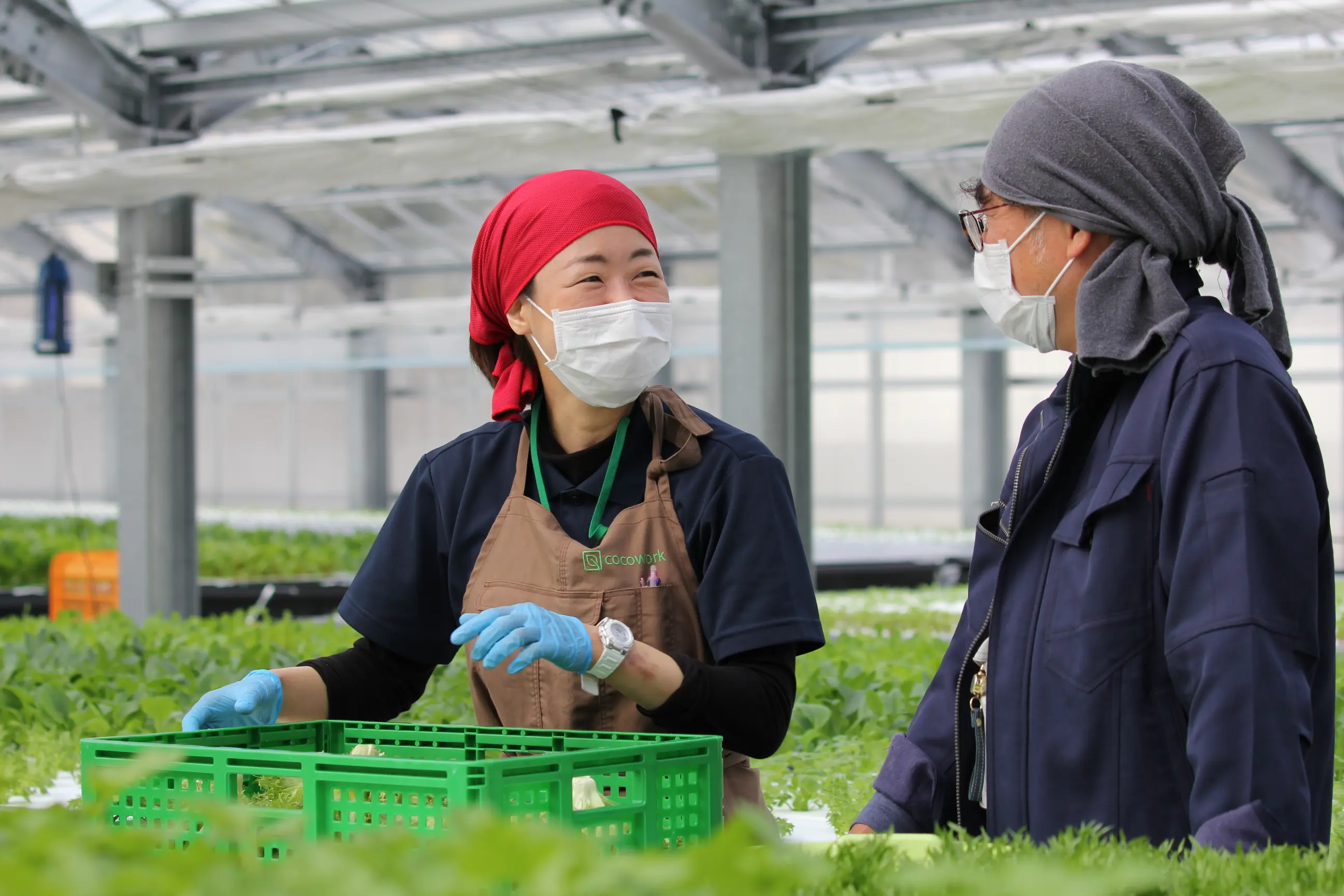 ココワーク従業員3